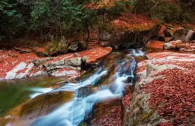 岗?紅菾??菕0i犉兣xT斢Nk^<瞟T宍=(madvr中文版官网)